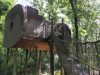 Das Baumhaus über den Wölfen